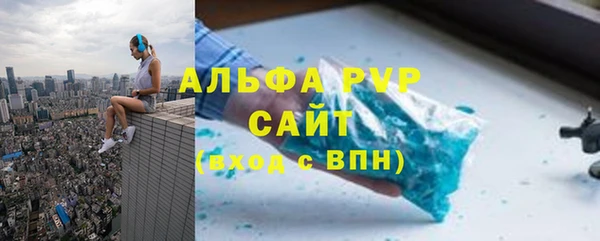 шишки Богородицк